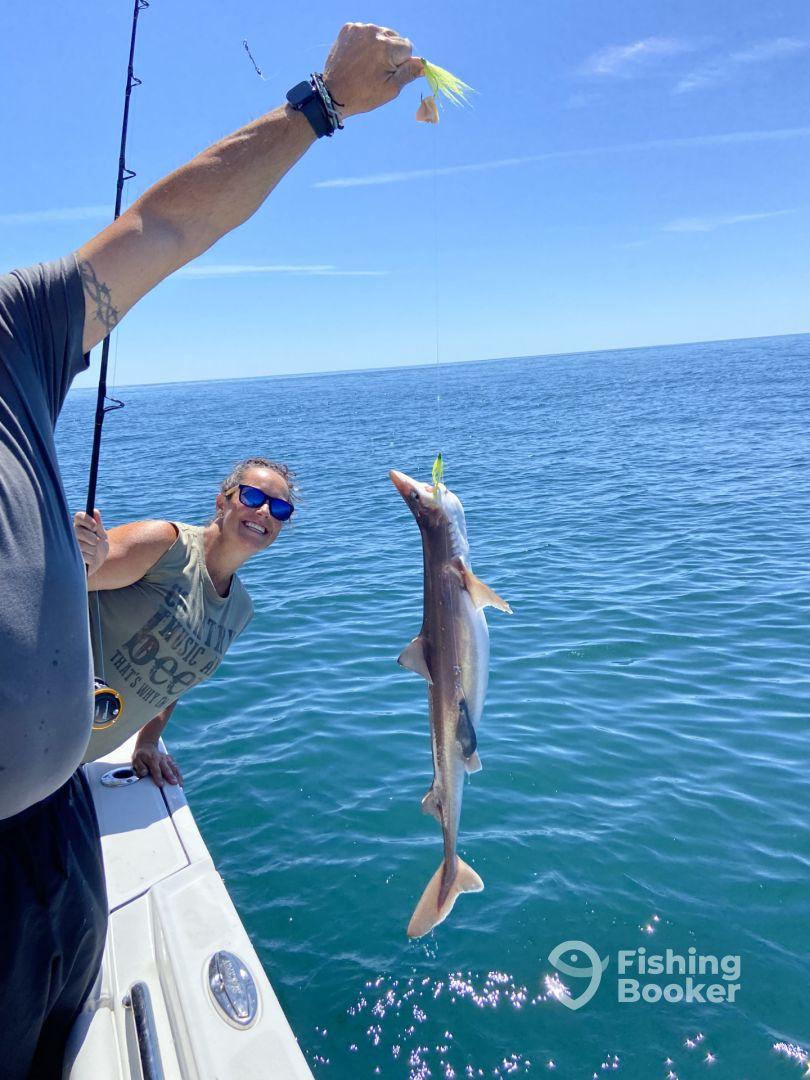 Anglers celebrating a successful catch of a shark while fishing on a sunny day in open waters.