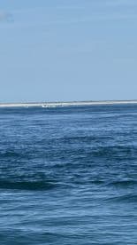 A scenic view of boats on the water, showcasing a tranquil fishing environment.