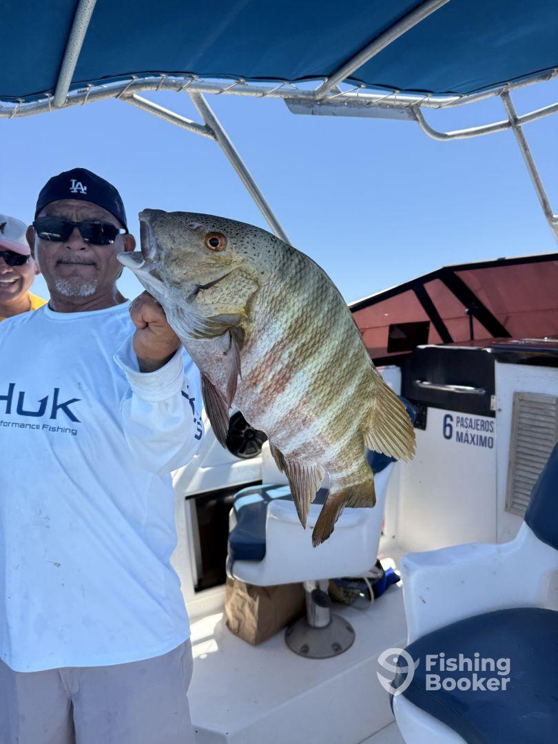 What an amazing trip.