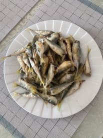 A plate filled with freshly caught small fish, likely a local species, displayed on a dining table, showcasing the catch from a recent fishing trip.