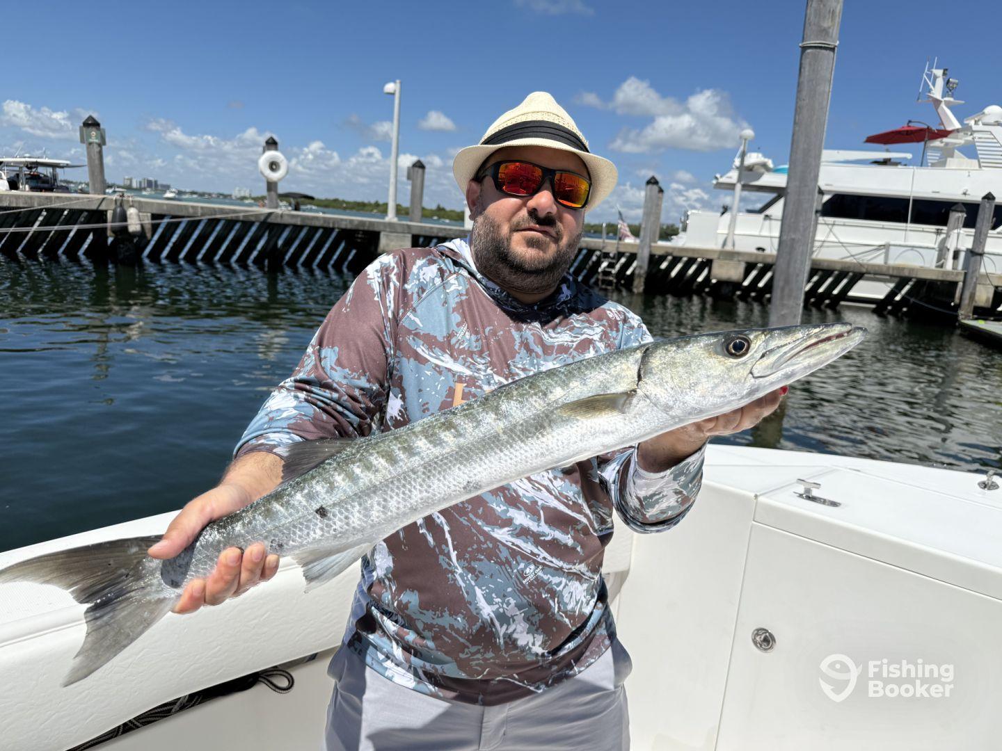 Exactly what I was looking for 