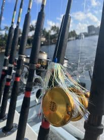 Close-up of fishing rods and reels on a boat, showcasing the setup for a day of fishing in a scenic waterway.