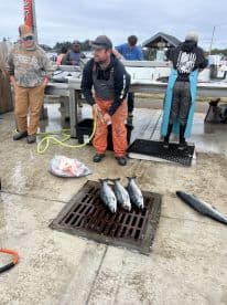 A group of anglers at a dock cleaning station, showcasing several freshly caught salmon laid out on the ground.