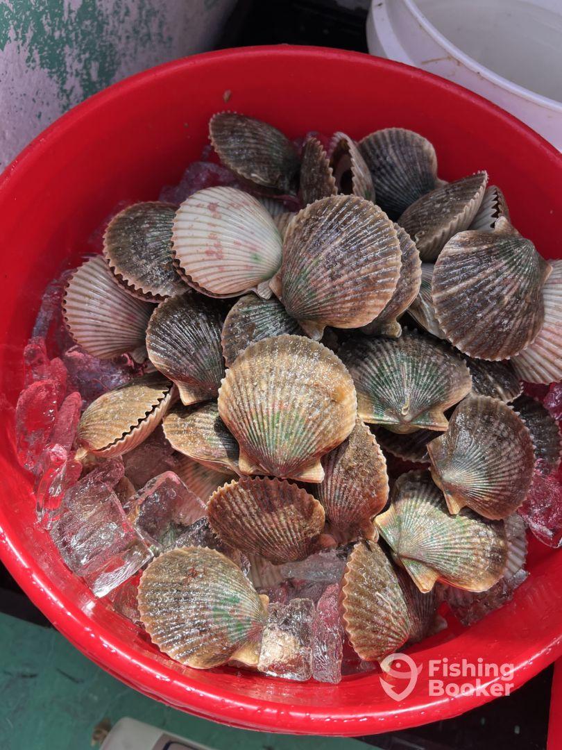 This is THE Team to go with in Crystal River