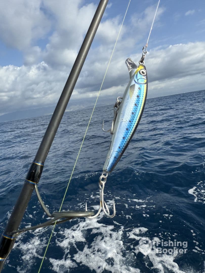 A fishing lure is prominently displayed on a rod against a backdrop of open ocean and cloudy skies, showcasing the fishing environment.