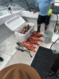 A variety of fish, including red snapper, are stored in a cooler and displayed on the deck of a fishing boat, showcasing a successful deep-sea fishing trip.