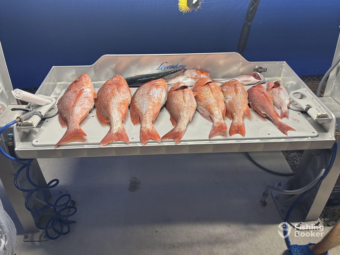 Awesome charter experience!! 