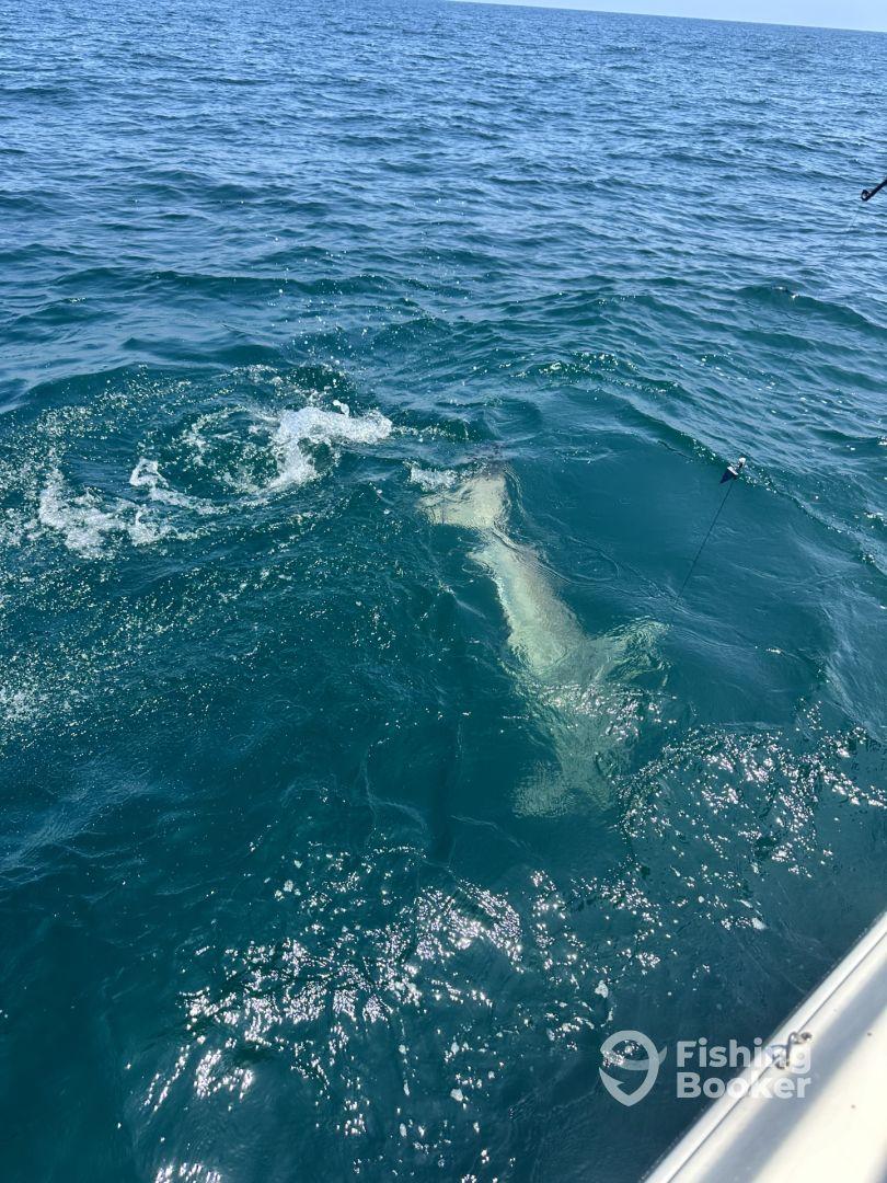 Great Day on the Water