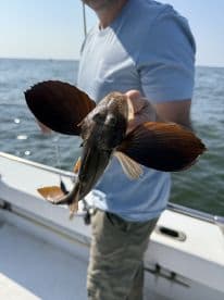 Angler displaying a unique fish with large fins while fishing on a boat, showcasing the excitement of the catch.