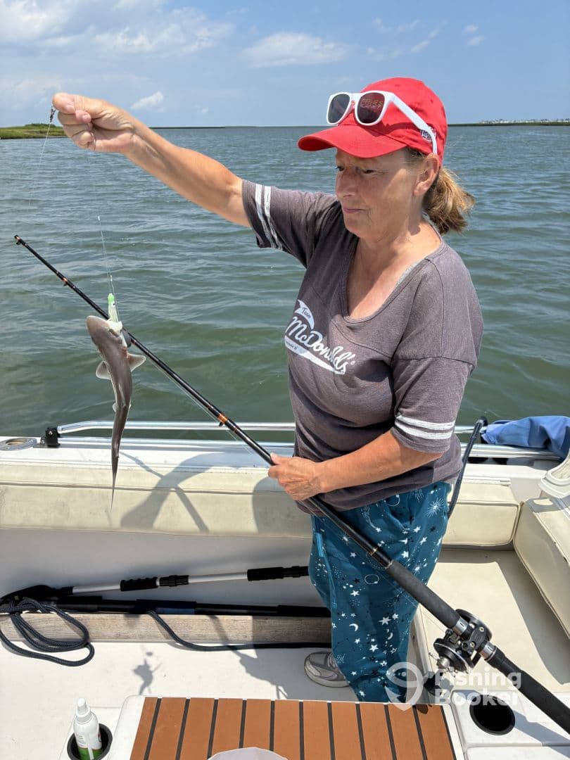 An angler reeling in a small shark while fishing from a boat in a coastal waterway, showcasing an engaging fishing experience.