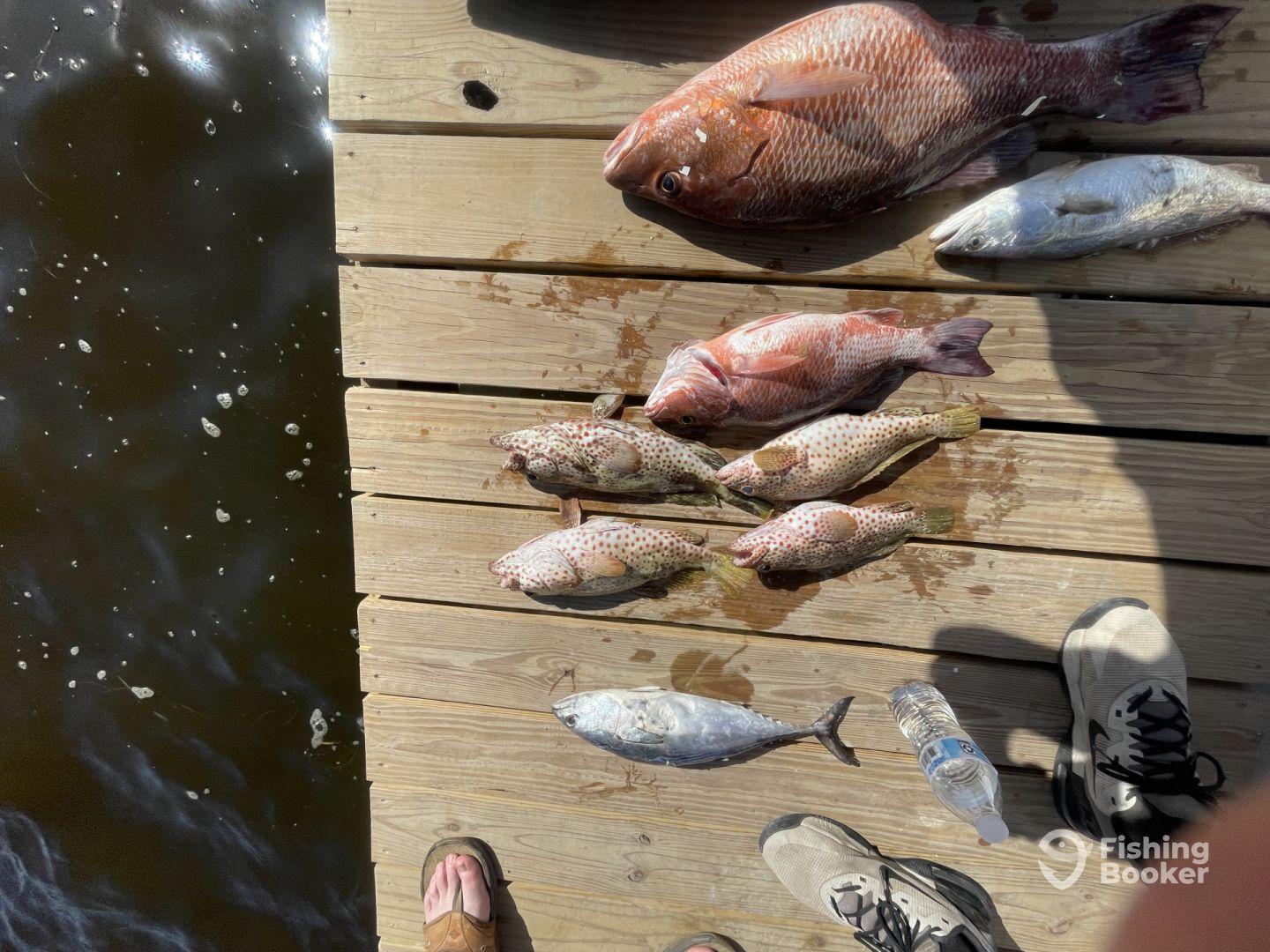 If you want to catch fish Josh is your guy. 