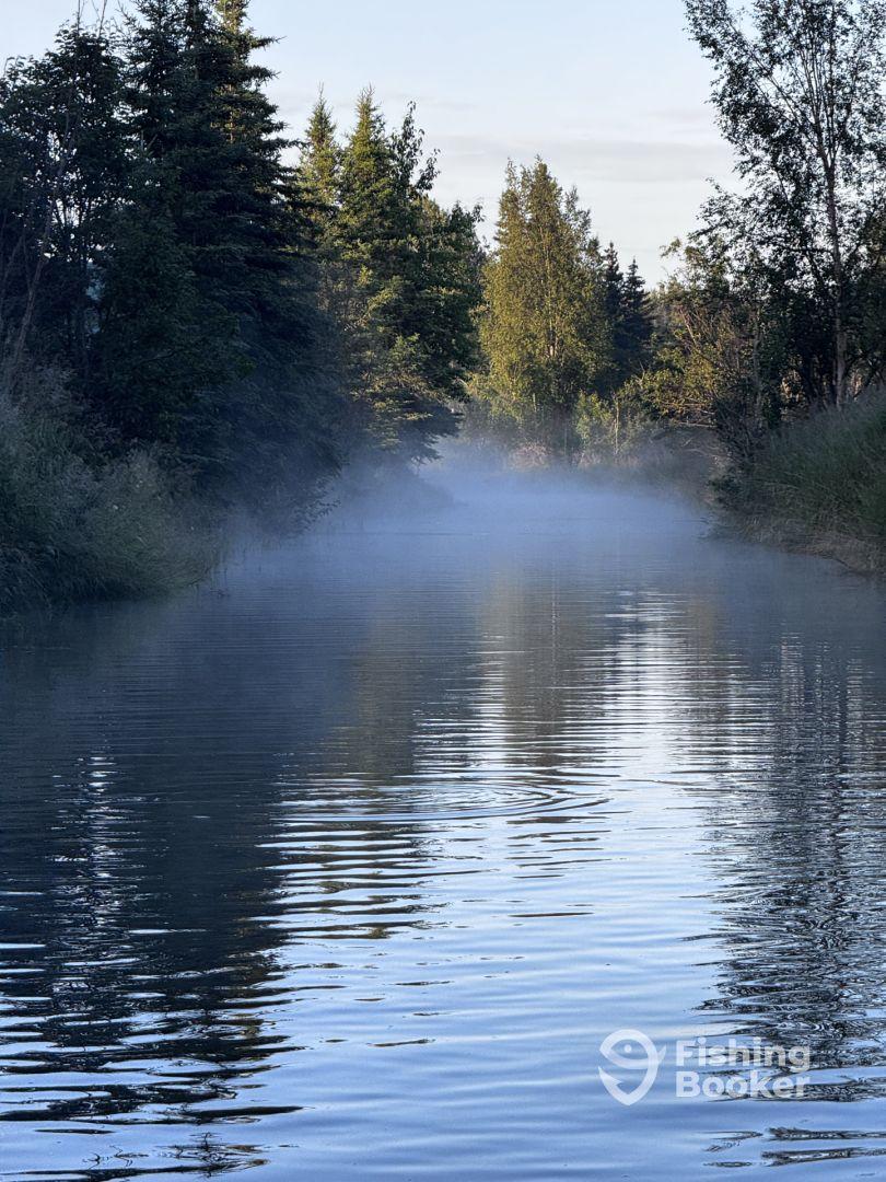 A serene view of a misty river surrounded by trees, creating a tranquil fishing environment.