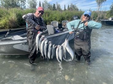 Two anglers proudly displaying their catch of multiple silver salmon while standing in a river, with a fishing boat visible in the background.