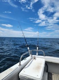 View of the boat's interior with fishing rods set up, showcasing a serene ocean backdrop under a clear blue sky.