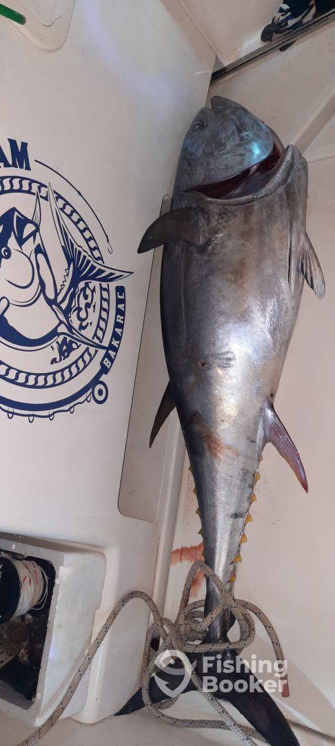 Esperienza strepitosa! Consigliata! Da non perdere.