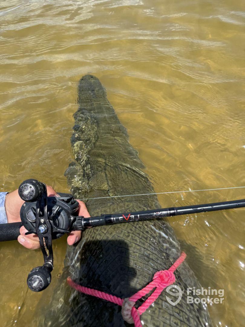 Full day gar fishing trip with Catching Dinosaurs