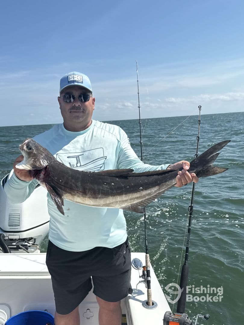 Angler proudly displaying a large Cobia while fishing on a boat in open waters.