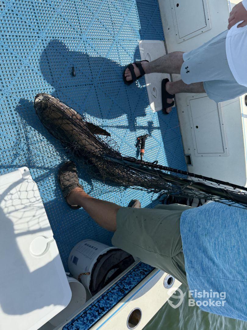 Tip Sea charters keep you on fish and work like crazy doing so!