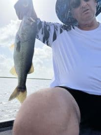 Angler displaying a large Largemouth Bass while fishing on a sunny day, showcasing the excitement of freshwater fishing.