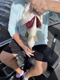 Angler displaying a freshly caught fish while seated in a boat, showcasing a successful fishing trip.