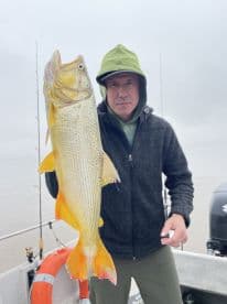 Angler proudly displaying a large Yellow Perch while fishing from a boat in overcast conditions.