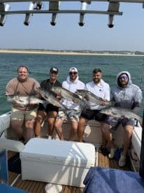 Group of anglers proudly displaying their catch of striped bass aboard a boat, showcasing a successful fishing trip.