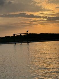 A serene sunset view over calm waters, featuring a silhouette of a bird perched on a post, creating a tranquil fishing environment.