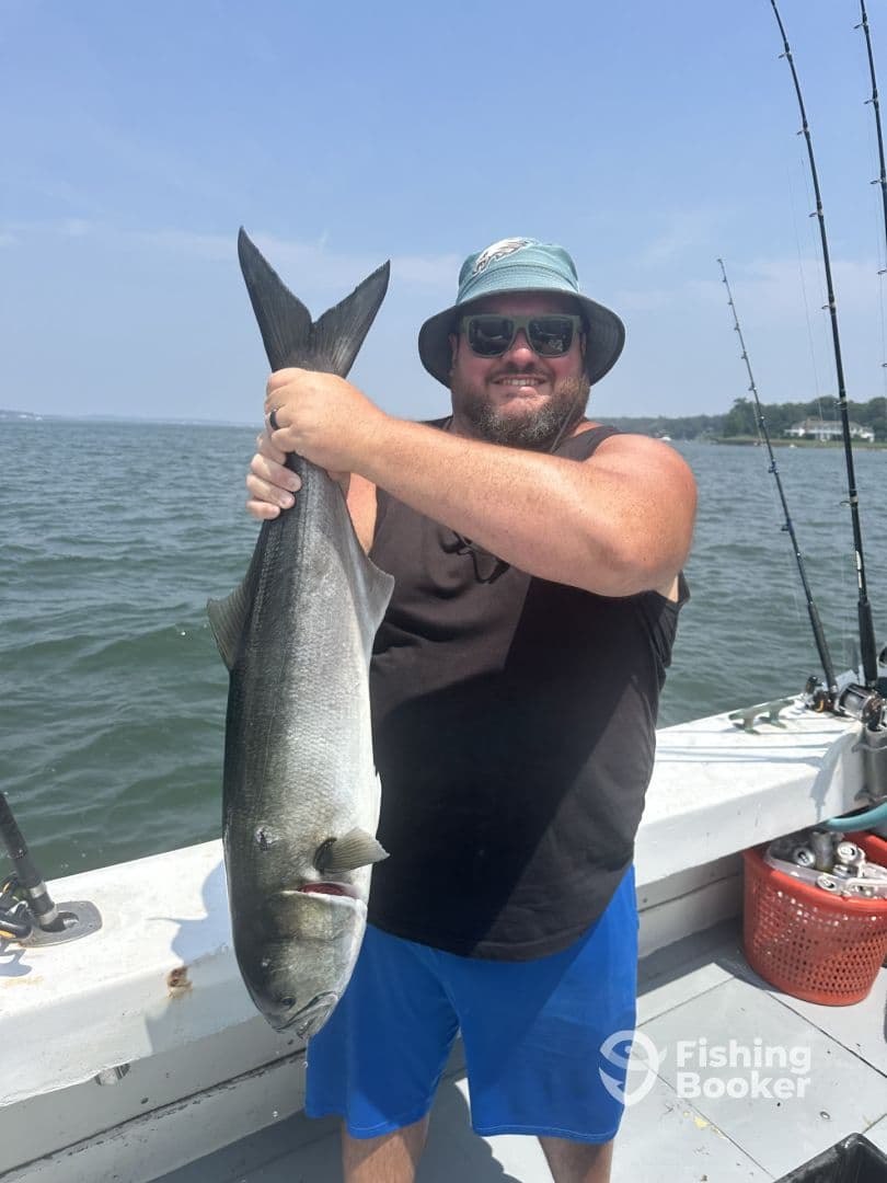 An angler proudly displaying a large Bluefish while fishing on a boat, showcasing a successful day on the water.