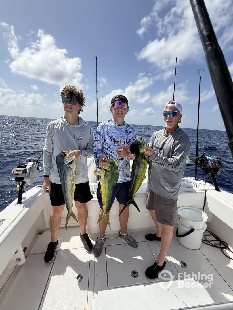 Outstanding Experience