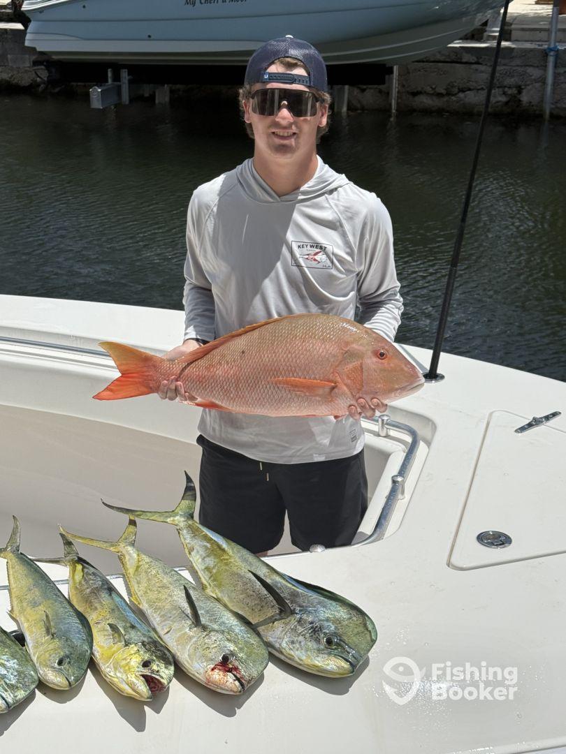 Outstanding Experience