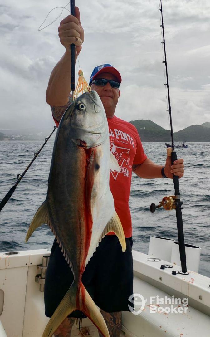 Six fish in one hour