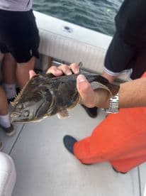 An angler proudly displaying a large Grouper while fishing on a boat, showcasing a successful catch in a vibrant marine environment.