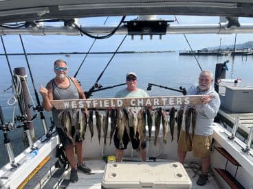 Three anglers proudly displaying their catch of Walleye on a charter boat, with a scenic waterfront in the background.