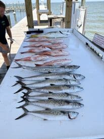 A variety of fish including Red Snapper and Spanish Mackerel displayed on a cleaning table at a dock, showcasing a successful fishing trip.