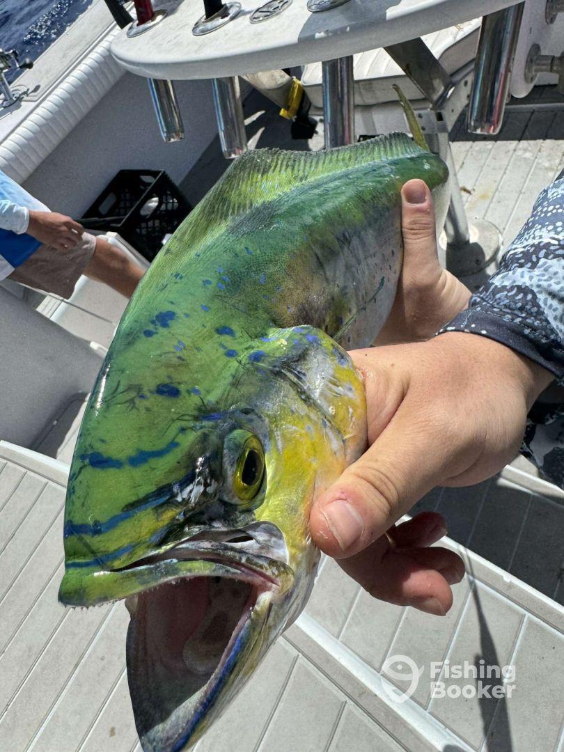 Hard working captain and crew