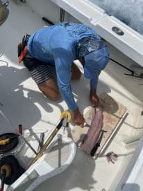 A fisherman filleting a freshly caught fish on a boat, showcasing the cleaning process after a successful fishing trip.