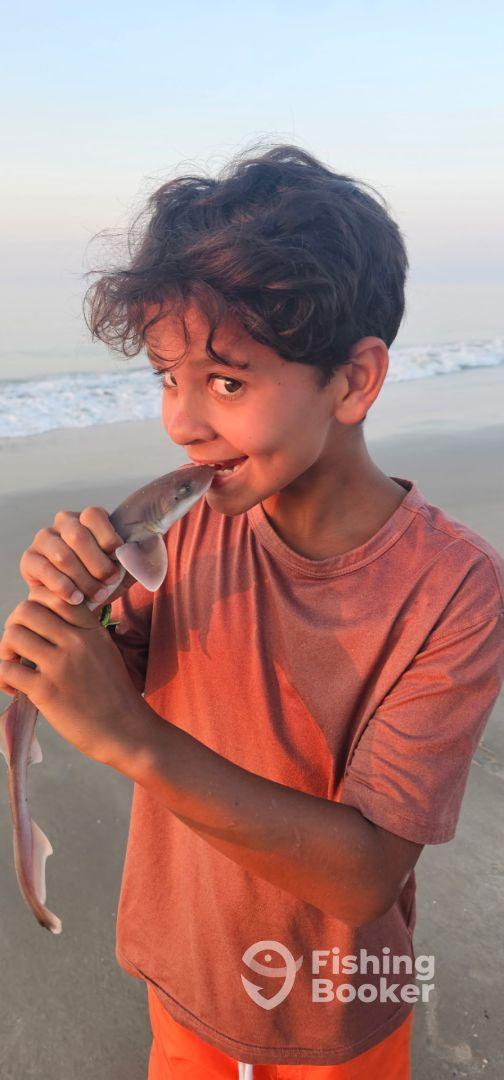 Lovely & busy early morning fishing from the shore!