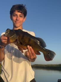A young angler proudly displaying a large Largemouth Bass against a scenic backdrop during a freshwater fishing trip.