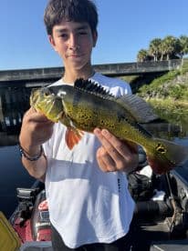 A young angler proudly displaying a vibrant Peacock Bass while fishing from a boat in a scenic waterway.