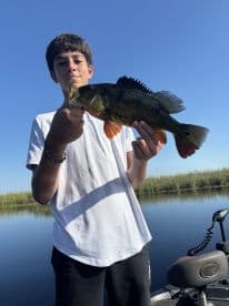 A young angler proudly displaying a vibrant Peacock Bass while fishing on a calm waterway, surrounded by lush greenery.