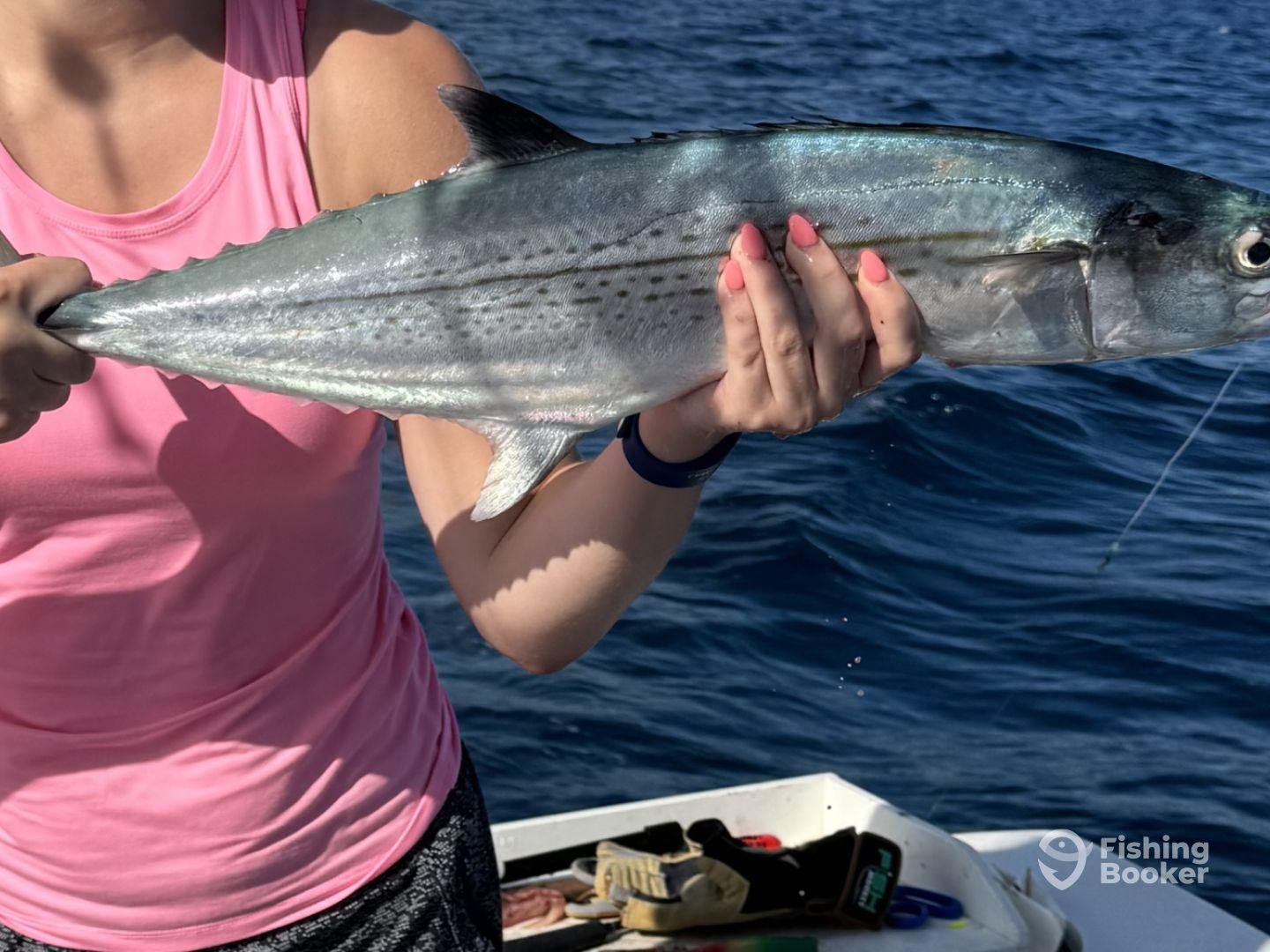 Guaranteed Great Time With Bug!