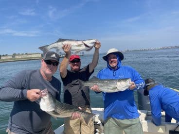 Three anglers proudly displaying their catch of striped bass while enjoying a sunny day on the water.