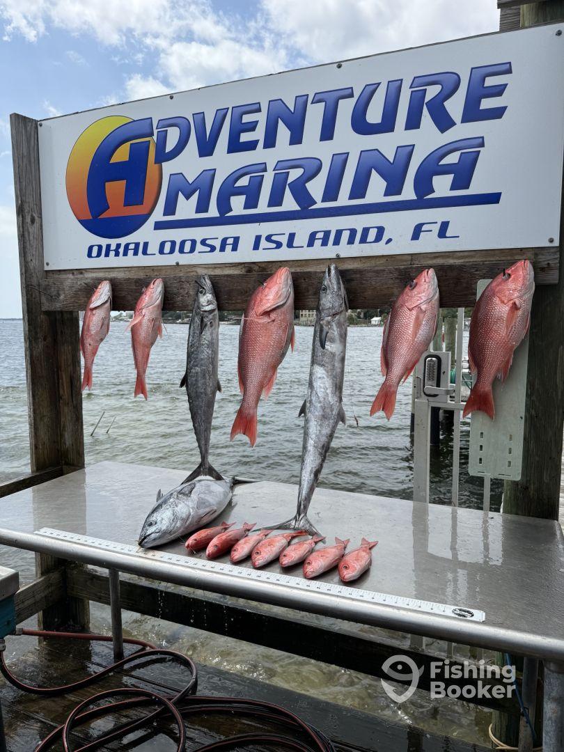 Great way to end our Snapper Season