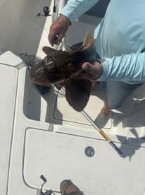 Angler holding a large Scad fish aboard a fishing boat, showcasing a successful catch during a sunny day on the water.