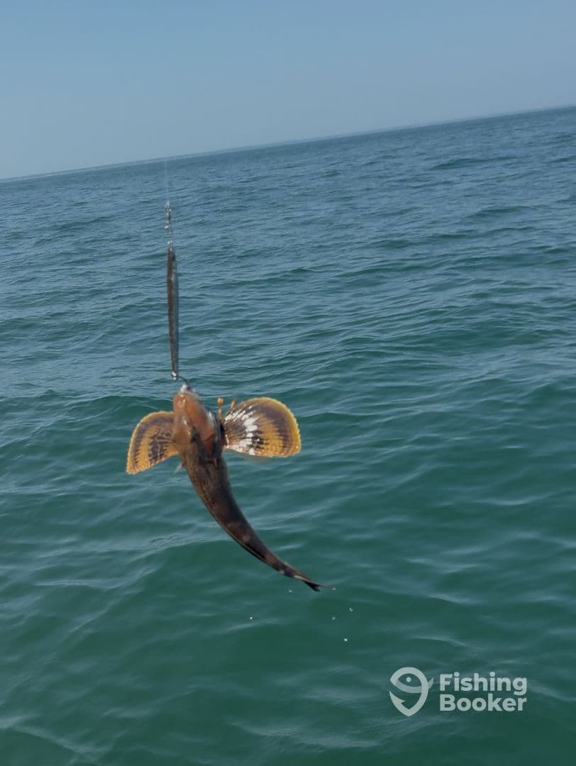 A fish is seen jumping out of the water while being reeled in, showcasing an exciting moment during a fishing trip.