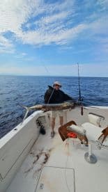 An angler proudly displaying a large Sailfish aboard a fishing boat in open waters, showcasing a successful deep-sea fishing adventure.