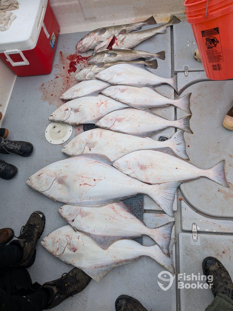 Excellent family trip!!