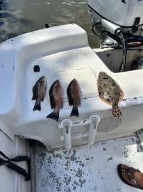 A variety of fish including Redfish and Flounder displayed on the boat's surface after a successful fishing trip.