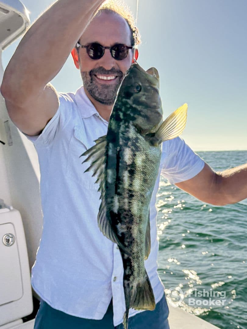 An angler proudly displaying a large Black Sea Bass while fishing on a sunny day.