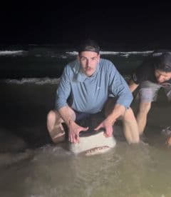 Two anglers handling a shark in shallow waters at night, showcasing an exciting catch during a beach fishing adventure.